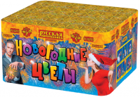 Новогодние цветы Фейерверк купить в Сорочинске | sorochinsk.salutsklad.ru