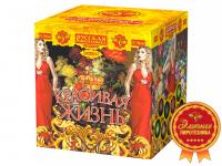 Красивая жизнь Фейерверк купить в Сорочинске | sorochinsk.salutsklad.ru