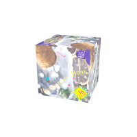 Новогодняя ночь Салют купить в Сорочинске | sorochinsk.salutsklad.ru