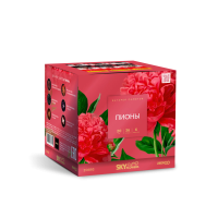 Пионы Салют купить в Сорочинске | sorochinsk.salutsklad.ru