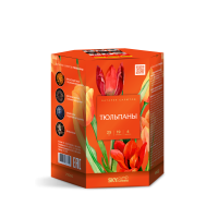 Тюльпаны Салют купить в Сорочинске | sorochinsk.salutsklad.ru