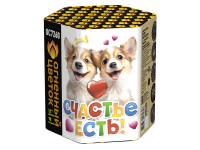 Счастье есть! Салют купить в Сорочинске | sorochinsk.salutsklad.ru