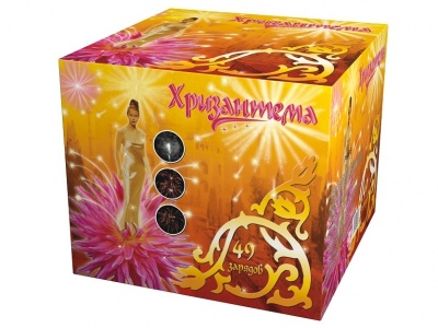 Хризантема Салют купить в Сорочинске | sorochinsk.salutsklad.ru