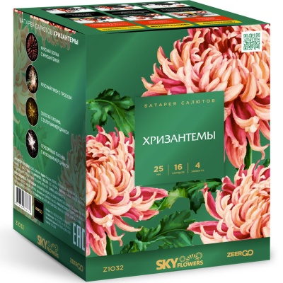 Хризантемы Фейерверк купить в Сорочинске | sorochinsk.salutsklad.ru