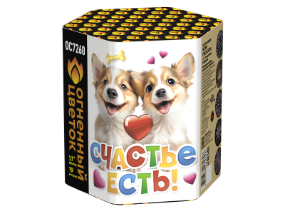 Счастье есть! Салют купить в Сорочинске | sorochinsk.salutsklad.ru